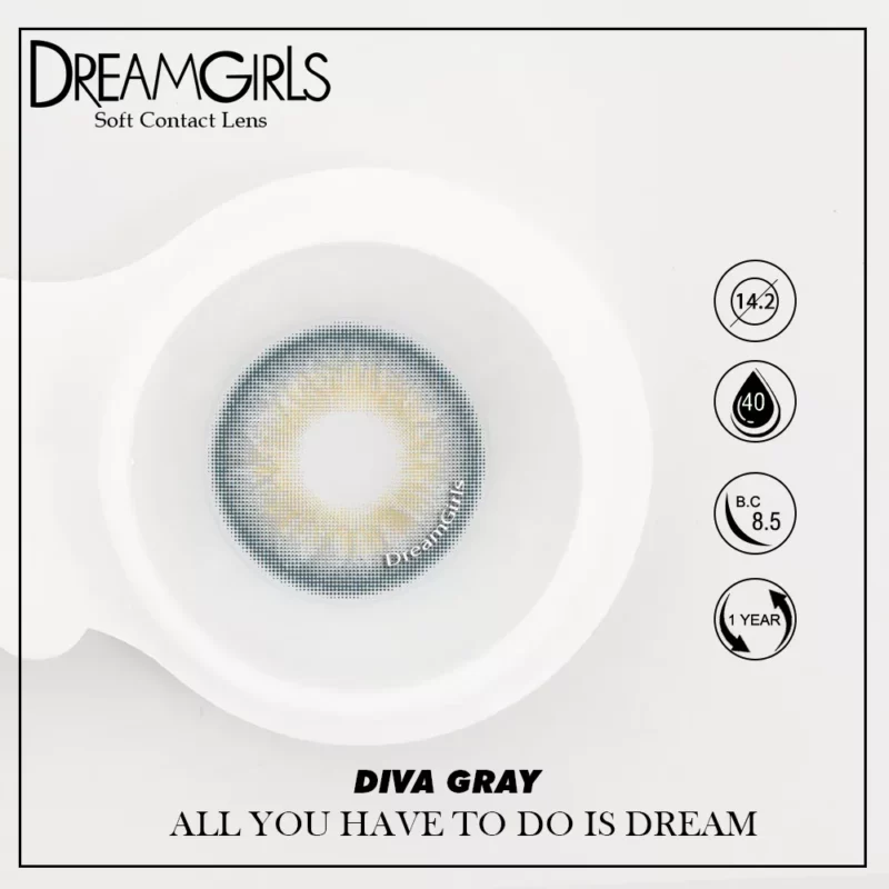 dreamgirls Diva gray