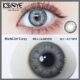 ksseye richgirl gray