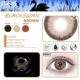 BlackSwan Brown
