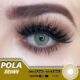 pola siam brown