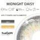 Freshlady Midnight Daisy