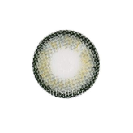 Freshlady Spanish Bank