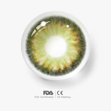 Freshlady Euphoria Intuition