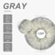 EYESHARE Estonia Gray