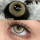 EYESHARE Boston Brown