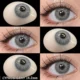 EYESHARE Cyprus Gray