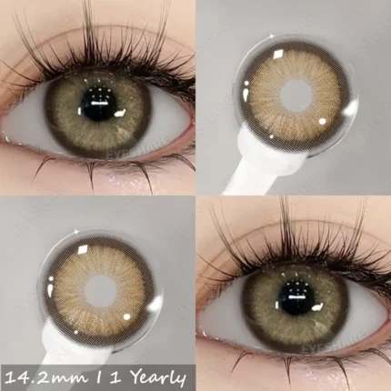 EYESHARE Semporna Brown