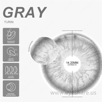 EYESHARE Turin Gray