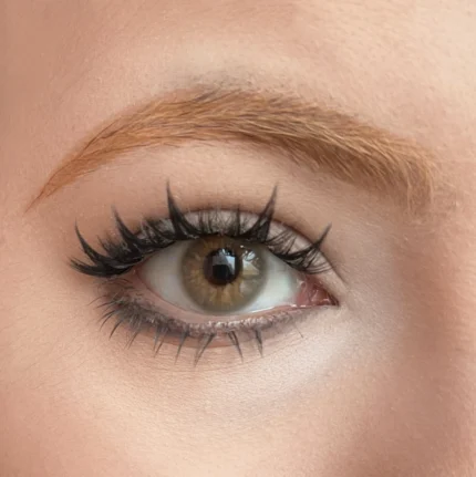 Freshlady Molly Gray