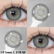 EYESHARE Holland Gray
