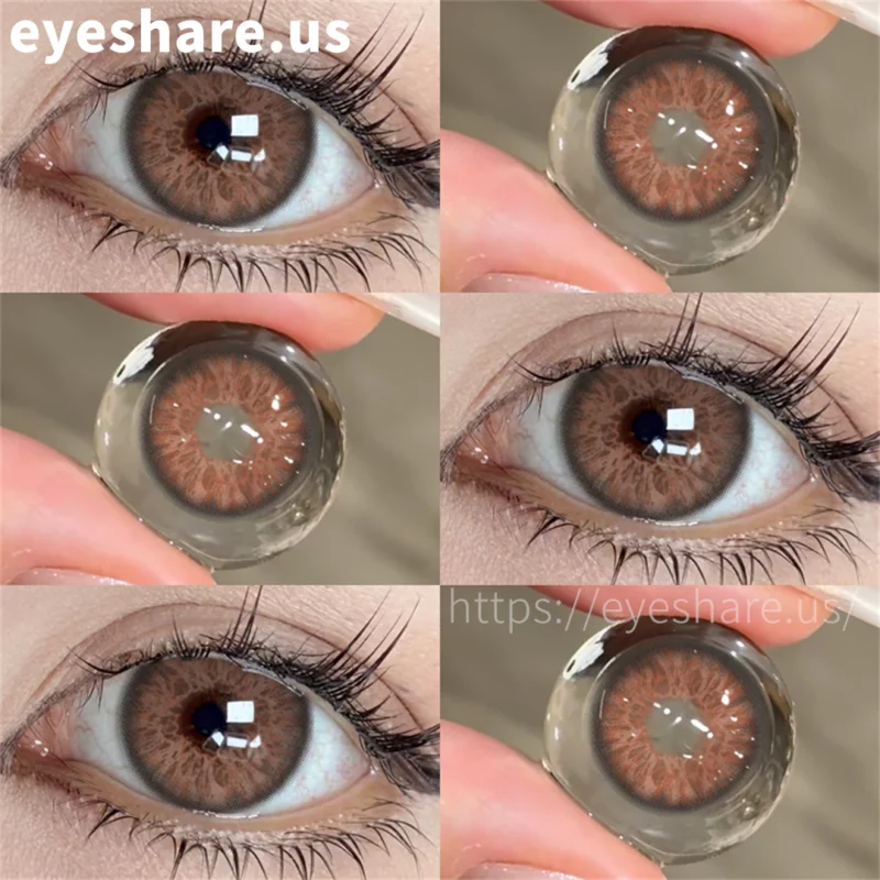 EYESHARE Lucerne Brown