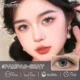 EYESHARE Pampas Gray