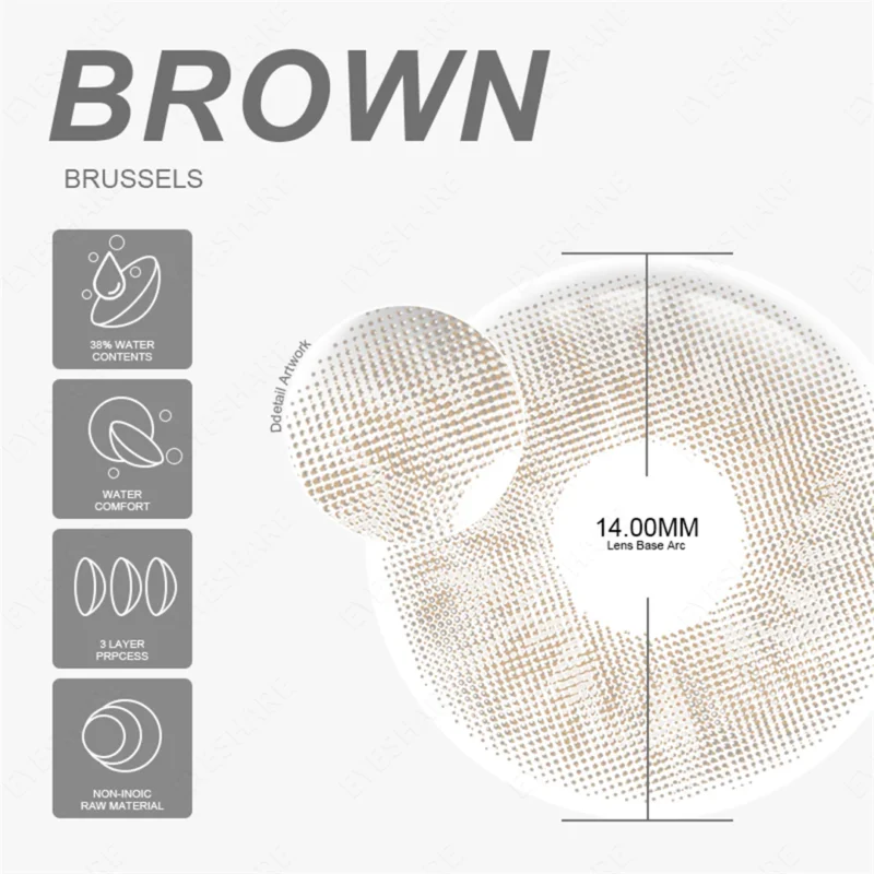 EYESHARE Brussels Brown