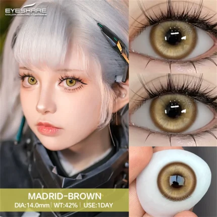 EYESHARE Madrid Brown
