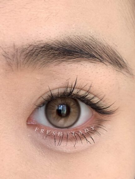 Freshlady Secret Brown