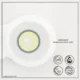 EYESHARE Lemon Green