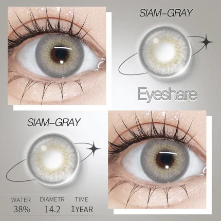 EYESHARE Siam Gray