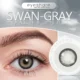 EYESHARE Swan Gray