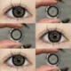 EYESHARE Swan Gray