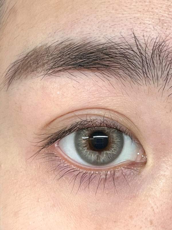 Freshlady Twilight Forest Gray