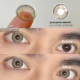 Eyeshare Blackspot Brown